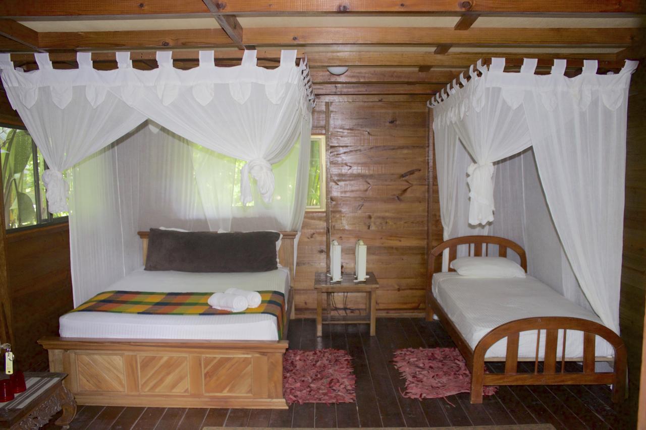 Red Frog Bungalows Surf Resort Bastimentos Exterior photo